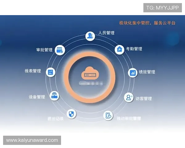 开云网中国：助力中小企业数字转型的最佳平台