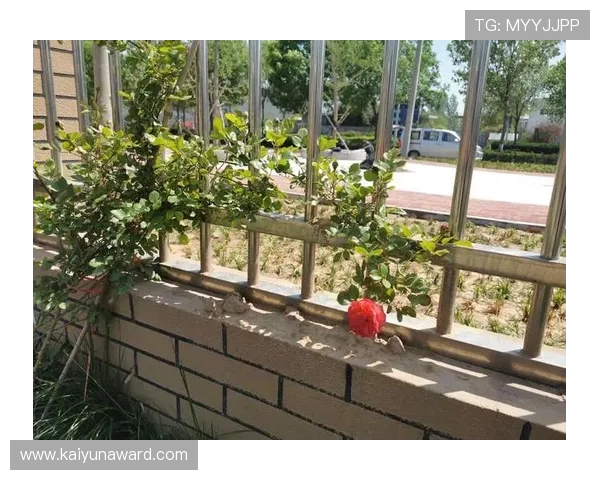 开云在线登录入口操作流程详解，教你一步步顺利完成登录步骤