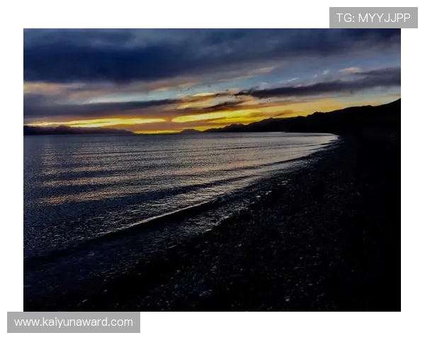 开云中国官方网站官方平台介绍及注册流程详解帮助新玩家快速入门