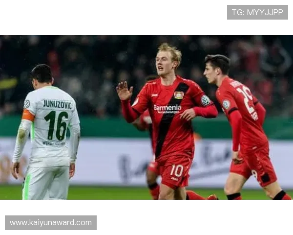 揭秘开云娱乐网站如何助力勒沃库森提升品牌影响力与球迷互动体验